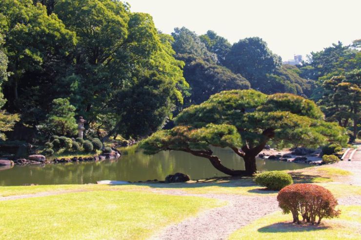 shinjuku-gyoen-garden-47