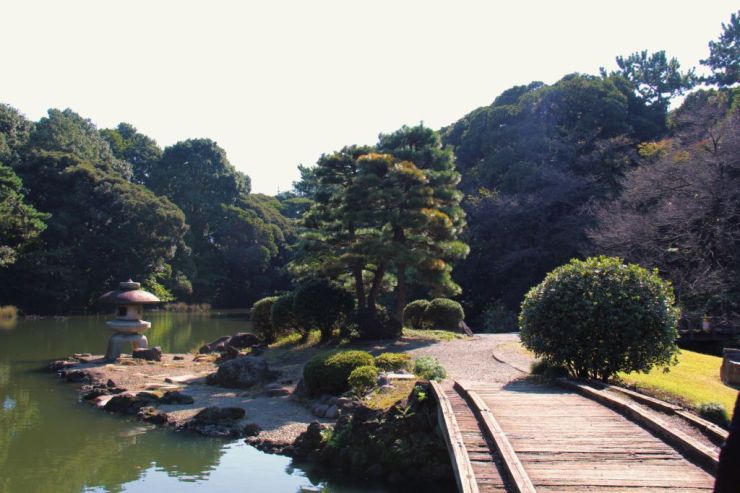 shinjuku-gyoen-garden-50