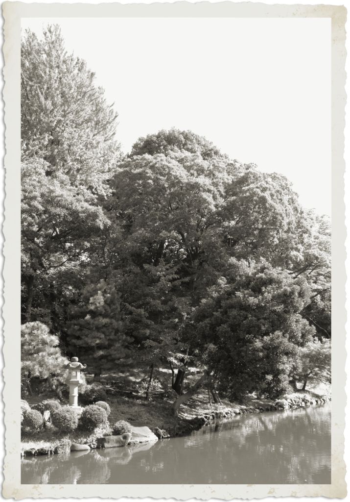 shinjuku-gyoen-garden-52