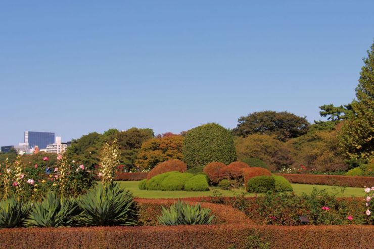 shinjuku-gyoen-garden-63