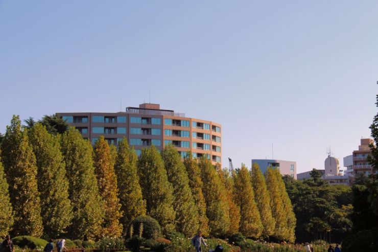 shinjuku-gyoen-garden-66