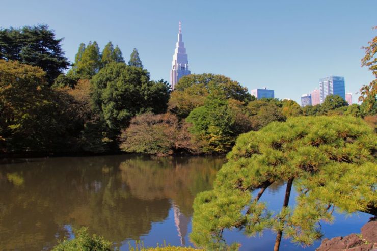 shinjuku-gyoen-garden-71