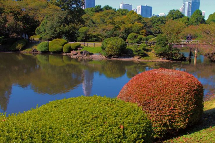 shinjuku-gyoen-garden-72