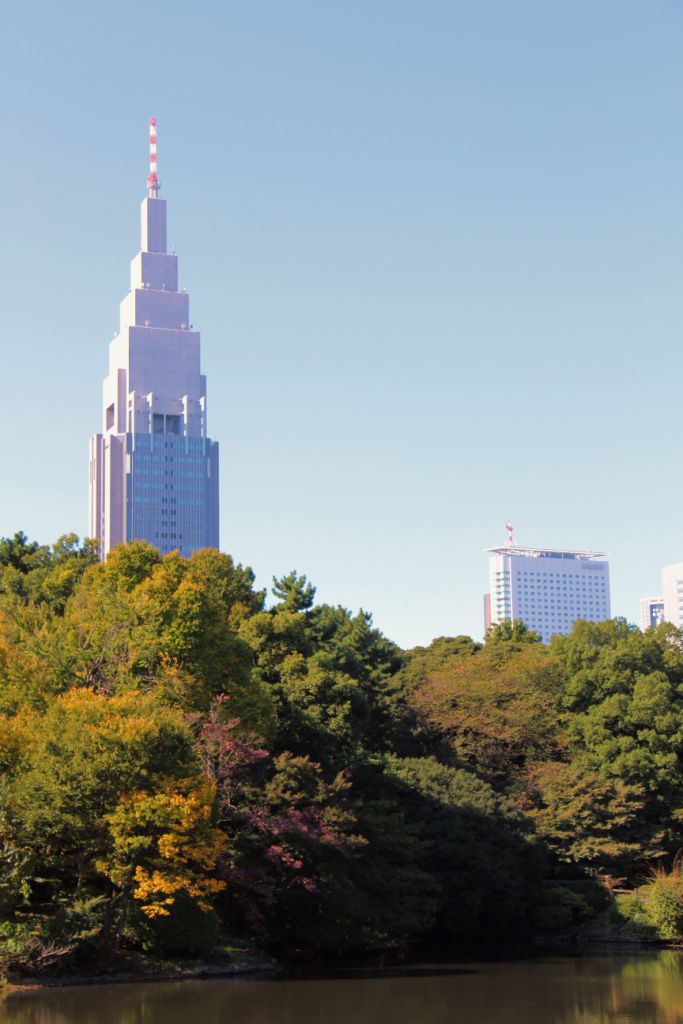 shinjuku-gyoen-garden-74