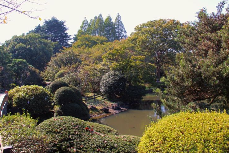 shinjuku-gyoen-garden-76