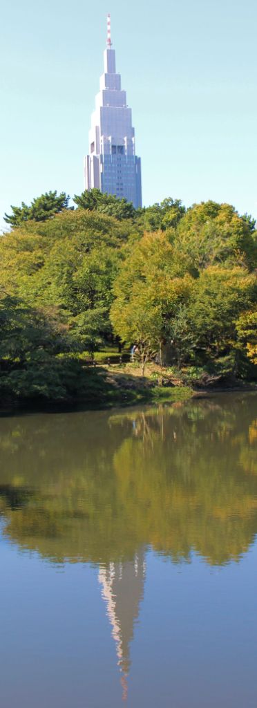 shinjuku-gyoen-garden-77