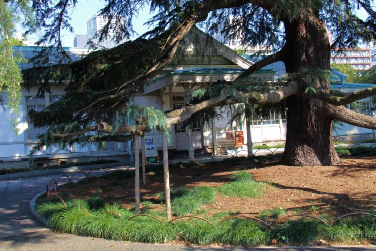 shinjuku-gyoen-garden-8