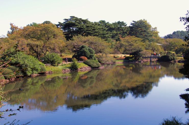 shinjuku-gyoen-garden-85