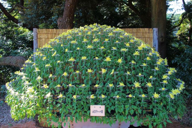 shinjuku-gyoen-garden-86