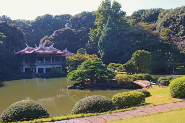 shinjuku-gyoen-garden-88