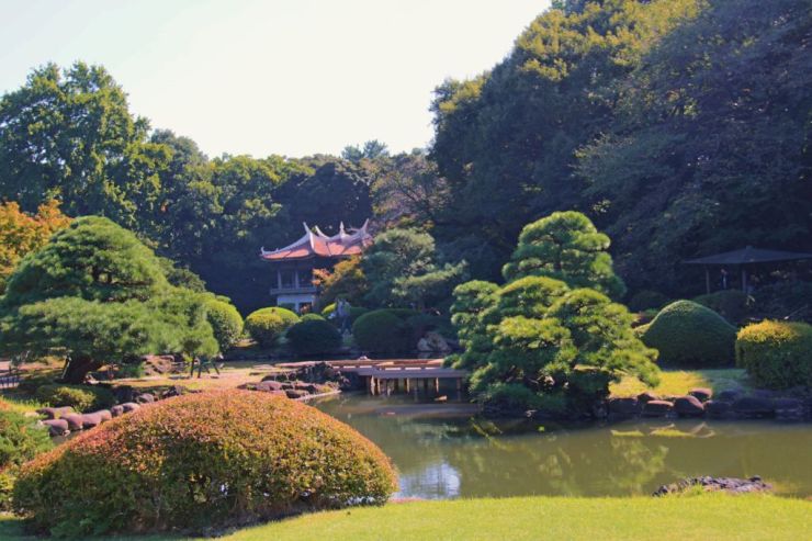 shinjuku-gyoen-garden-96