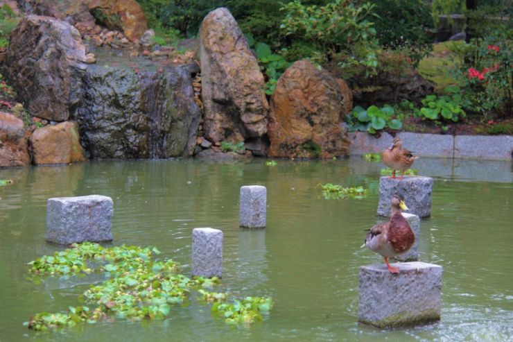 shofuku-ji-temple-21