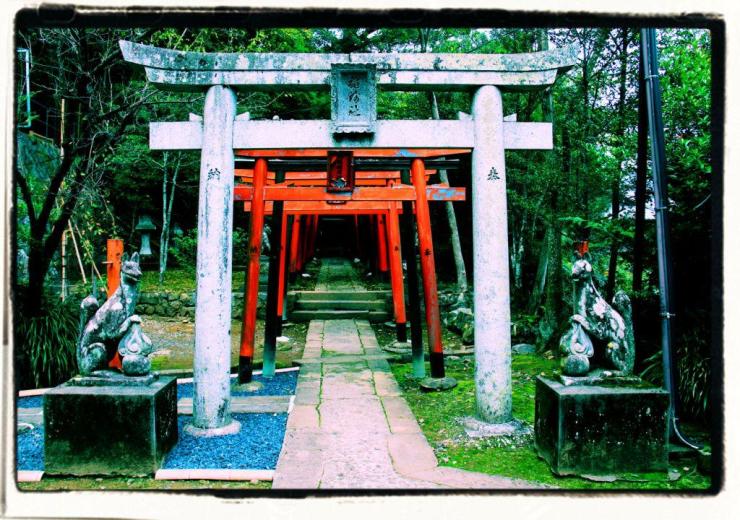 suwa-shrine-13