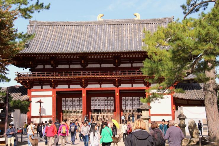 todai-ji-temple-8