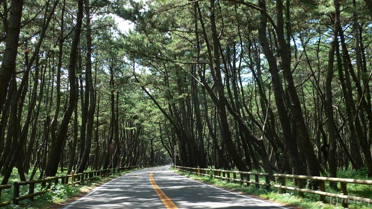 nino-no-matsubara