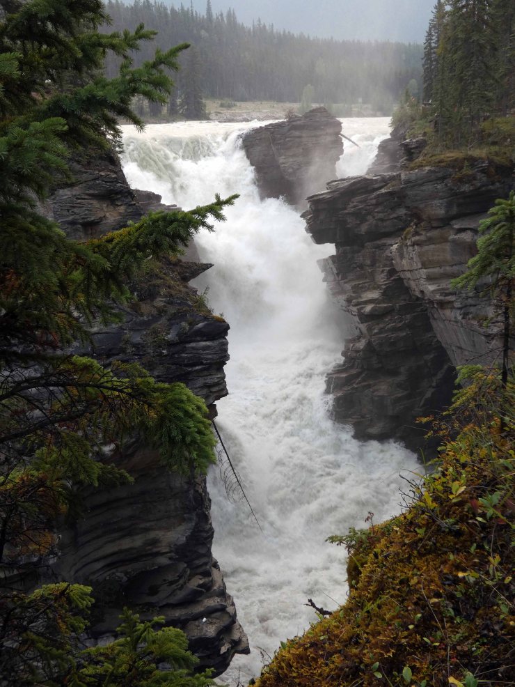 Athabasca Falls (3)