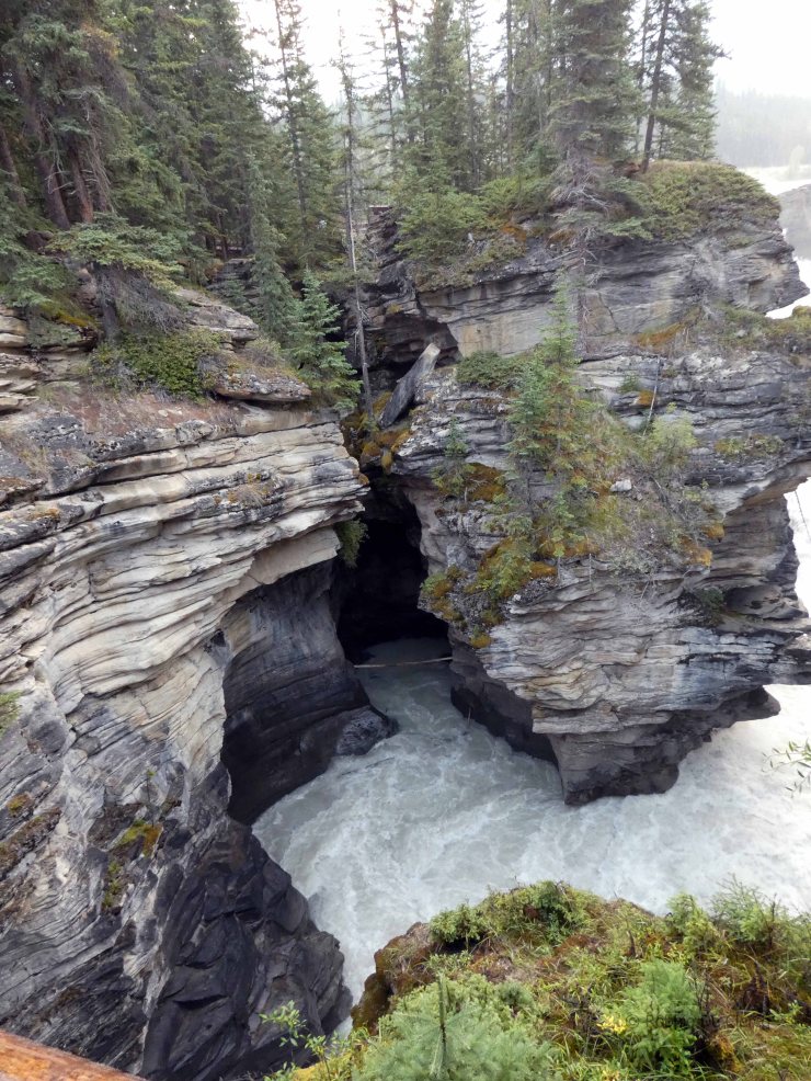 Athabasca Falls (5)