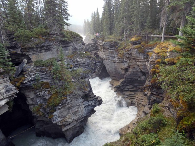 Athabasca Falls (6)