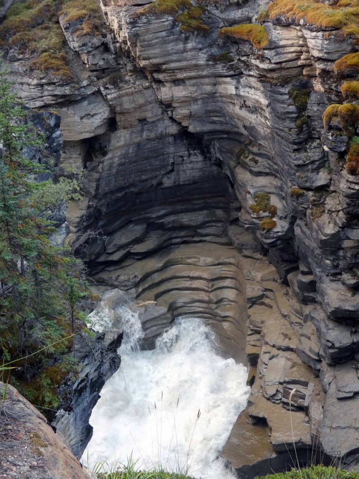 Athabasca Falls (9)