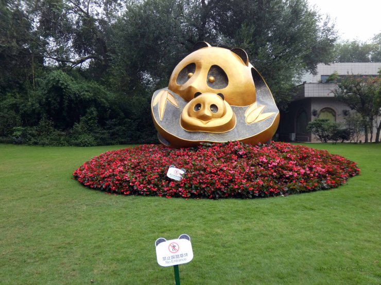 Giant Panda Research Centre (3)