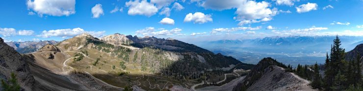 Golden mountain (11)