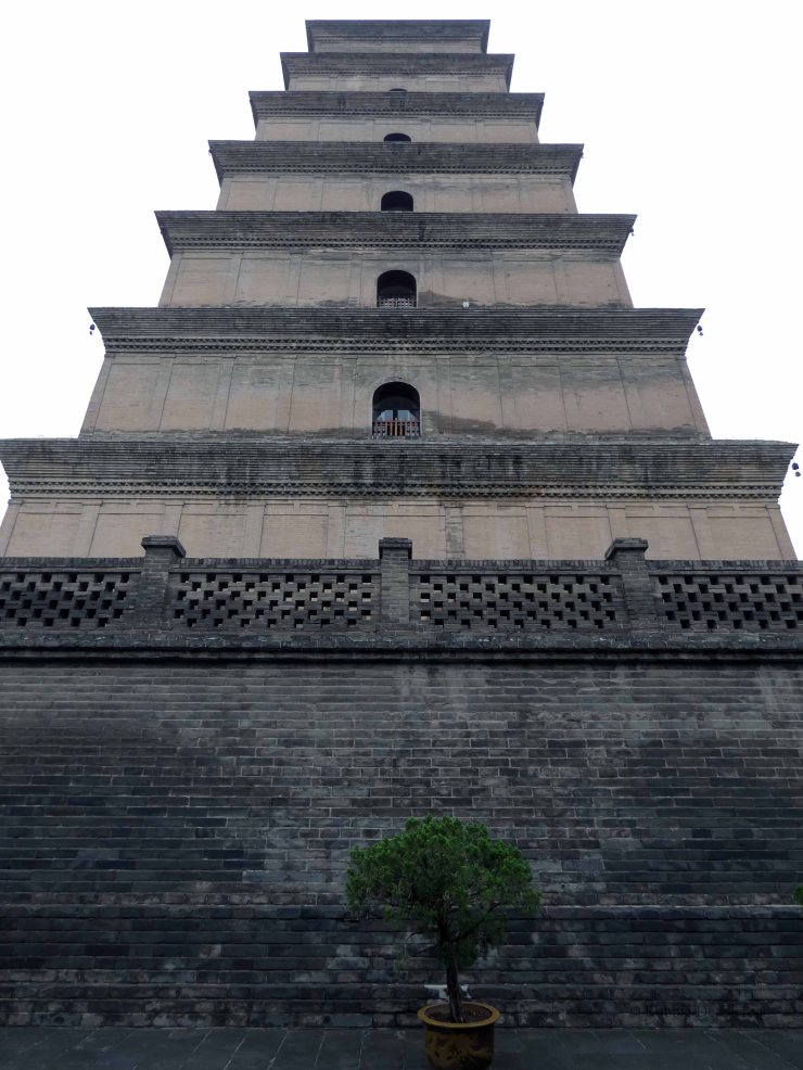 Grote Zwaan Pagode (18)