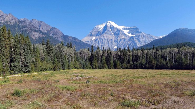 Mount Robson (10)