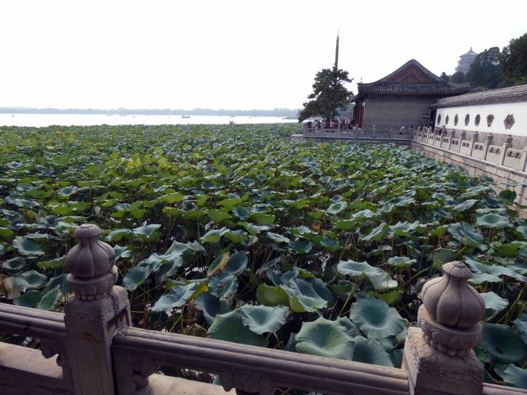 Summer Palace (1)
