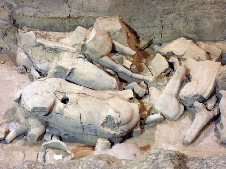 Terracotta Army (59)