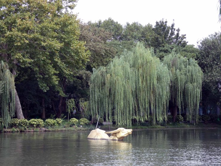 West Lake (43)