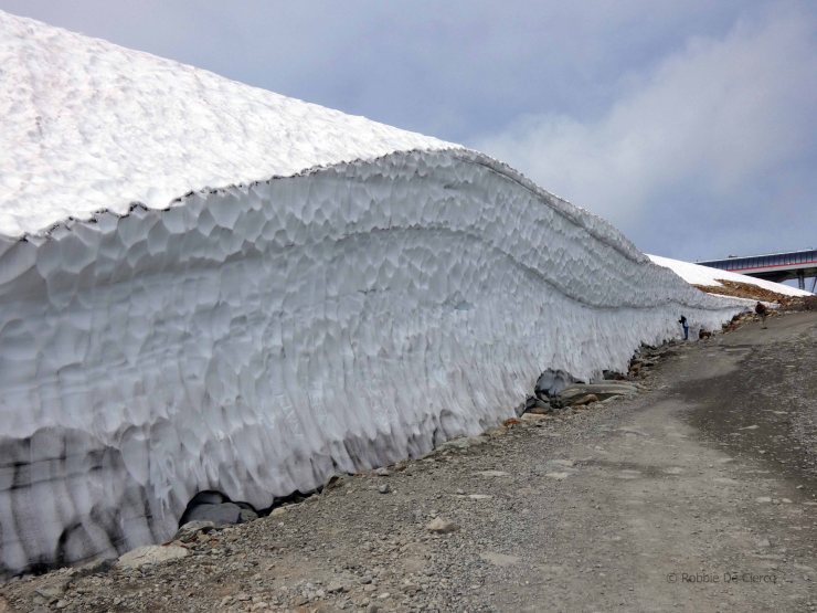 Whistler mountain (11)