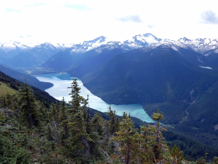 Whistler mountain (20)