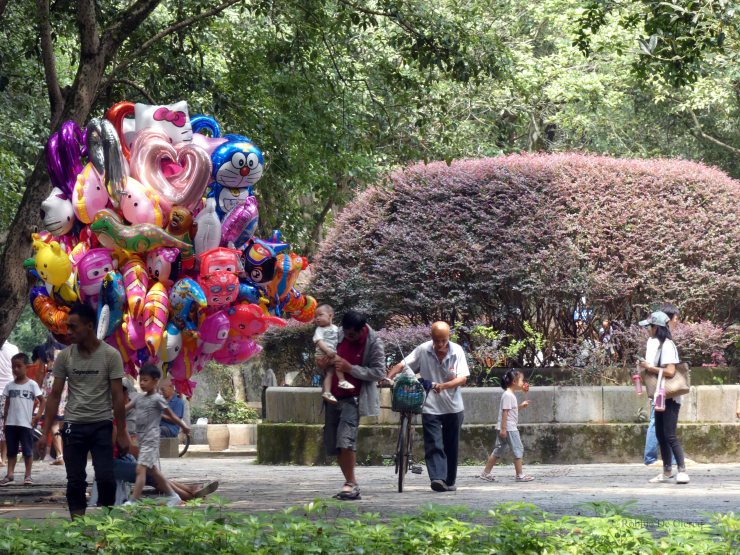 Yanghsuo divers (12)