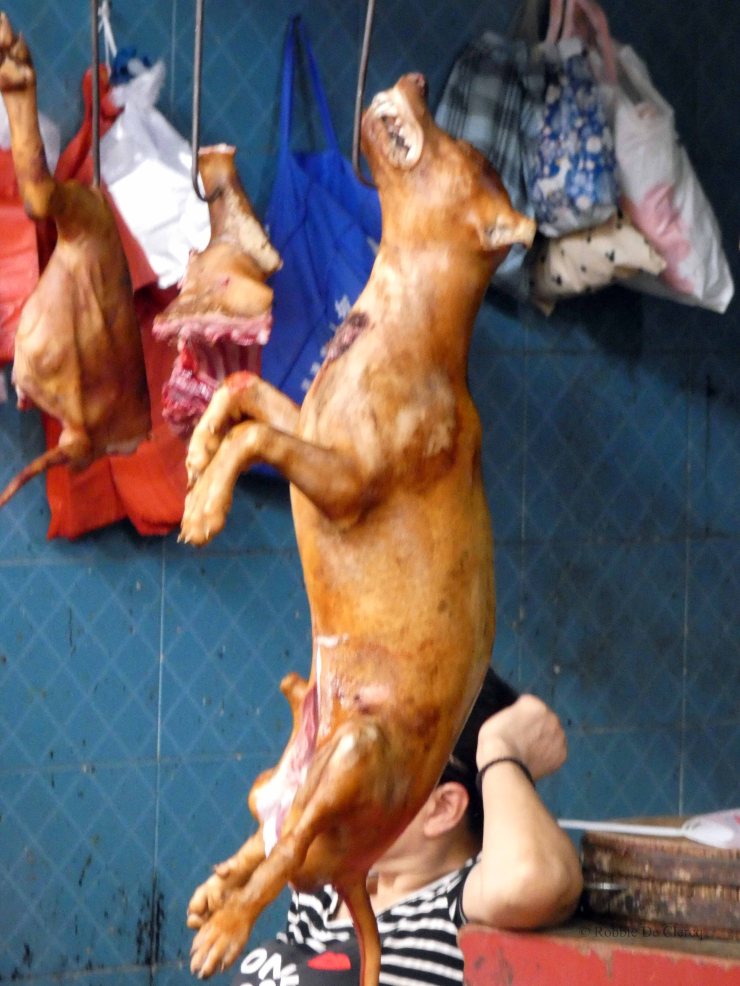 Yanghsuo divers (47)