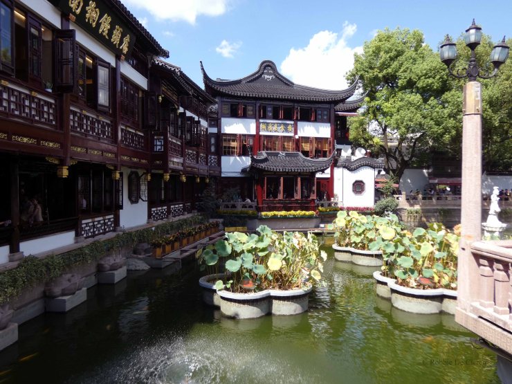 Yu Garden (5)